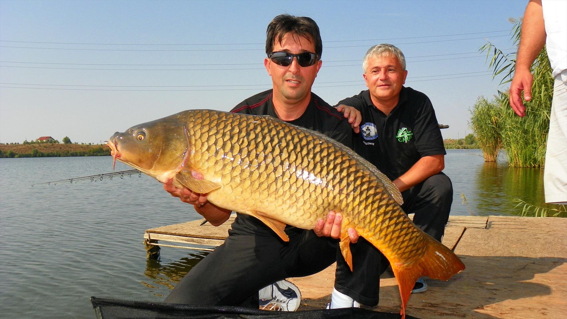 Boiliesmania - 2011 - 1008852.JPG